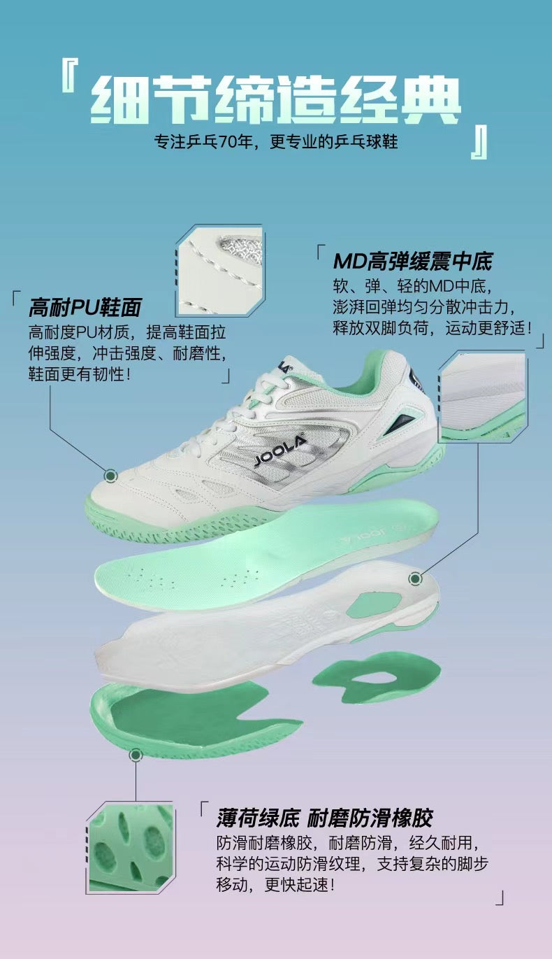 Fengyun PRO Table Tennis Shoes